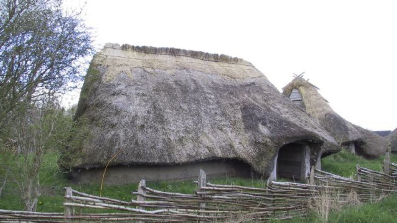 Photograph of a traditional thatched roof cottage partially obscured by a leafless tree. The cottage has a grey plaster exterior with a large, overhanging straw thatched roof. In the foreground, there is a fence